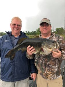 Trophy Bass Fishing in Florida 